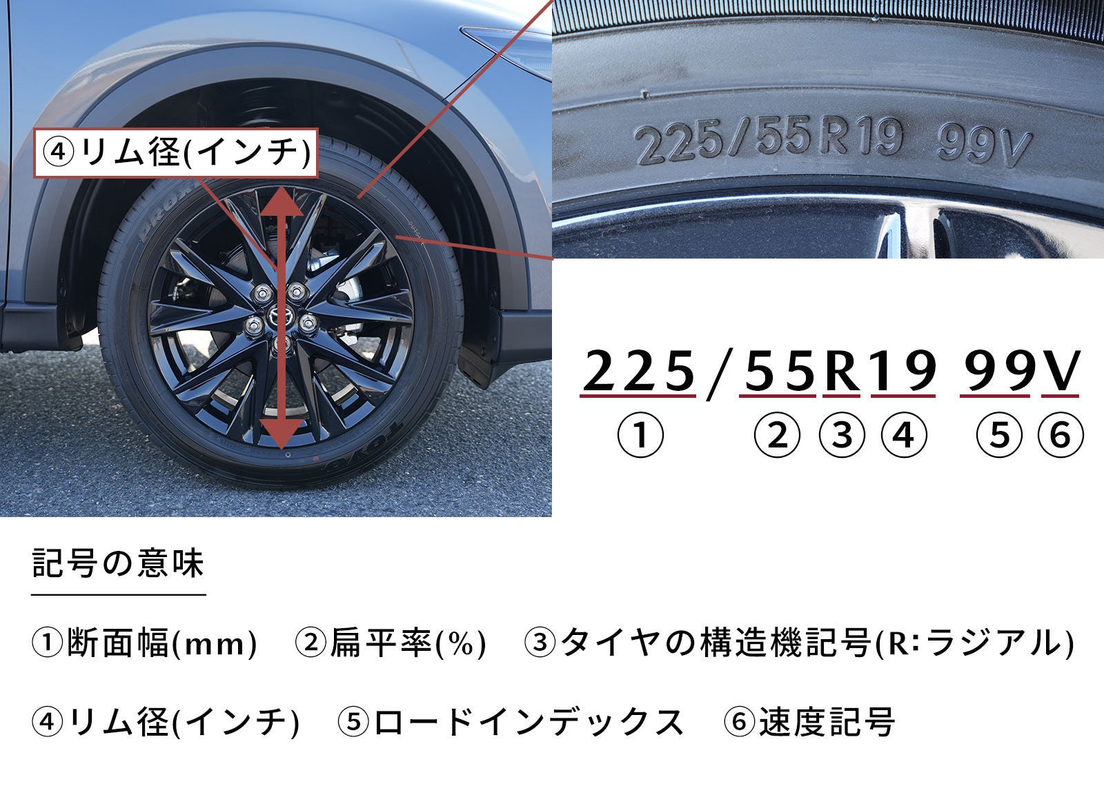 お役立ち】タイヤのインチ数、変わるとどうなるの？｜マツダのある