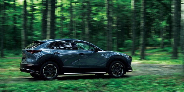 cx-30-signature-style.jpg?