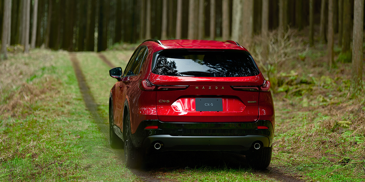 rear