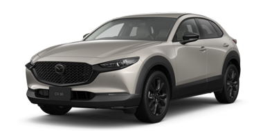 ガハハ ページEXクリーム ⭐︎一個３g入り⭐︎サンプル 40個 MAZDA CX-30｜クロスオーバー SUV｜マツダ