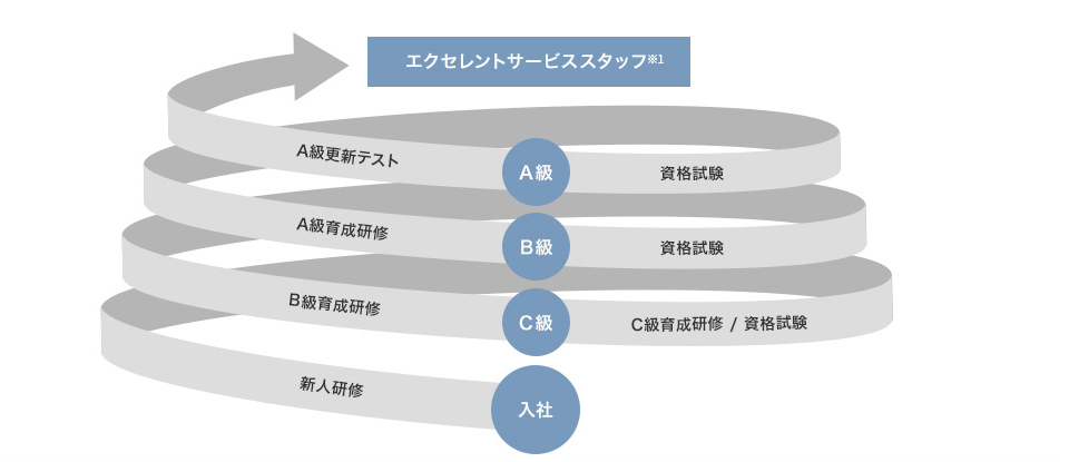 入社→C級→B級→A級→エクセレントサービススタッフ（※1）