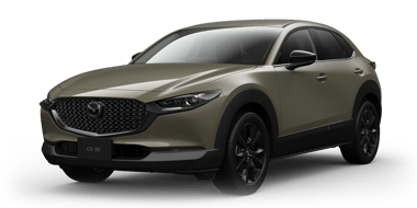 CX-30 Retro Sports Edition（特別仕様車）