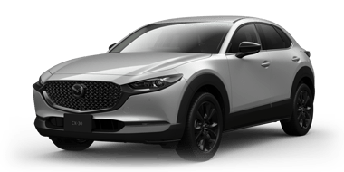 MAZDA 関東マツダ 55周年 記念皿 プレート ノベルティ グッズ