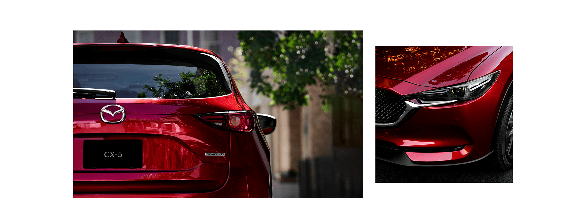 「見つめるたび、美しい表情に惹きつけられます」 「見つめるたび、美しい表情に惹きつけられます」