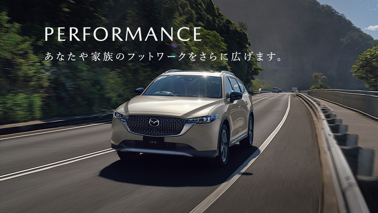 PERFORMANCE