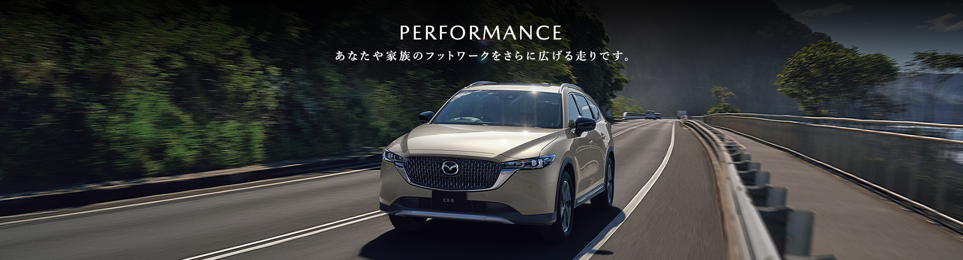 PERFORMANCE