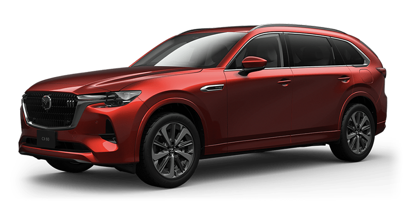 CX-80