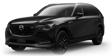 xd-drive-edition-nappa-leather