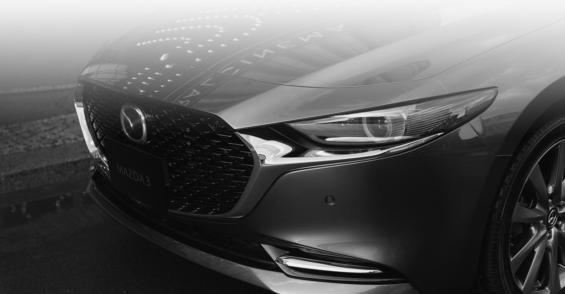 凛とした気品が、成熟した大人を惹きつけます