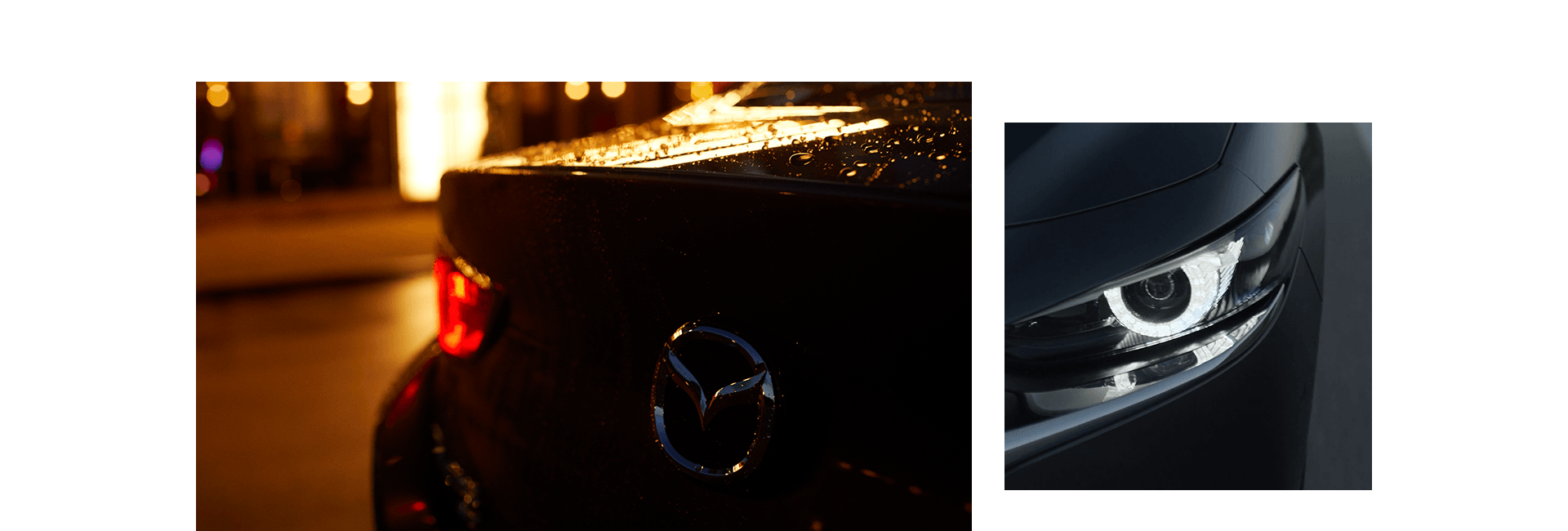 安全もドライバーが主役です