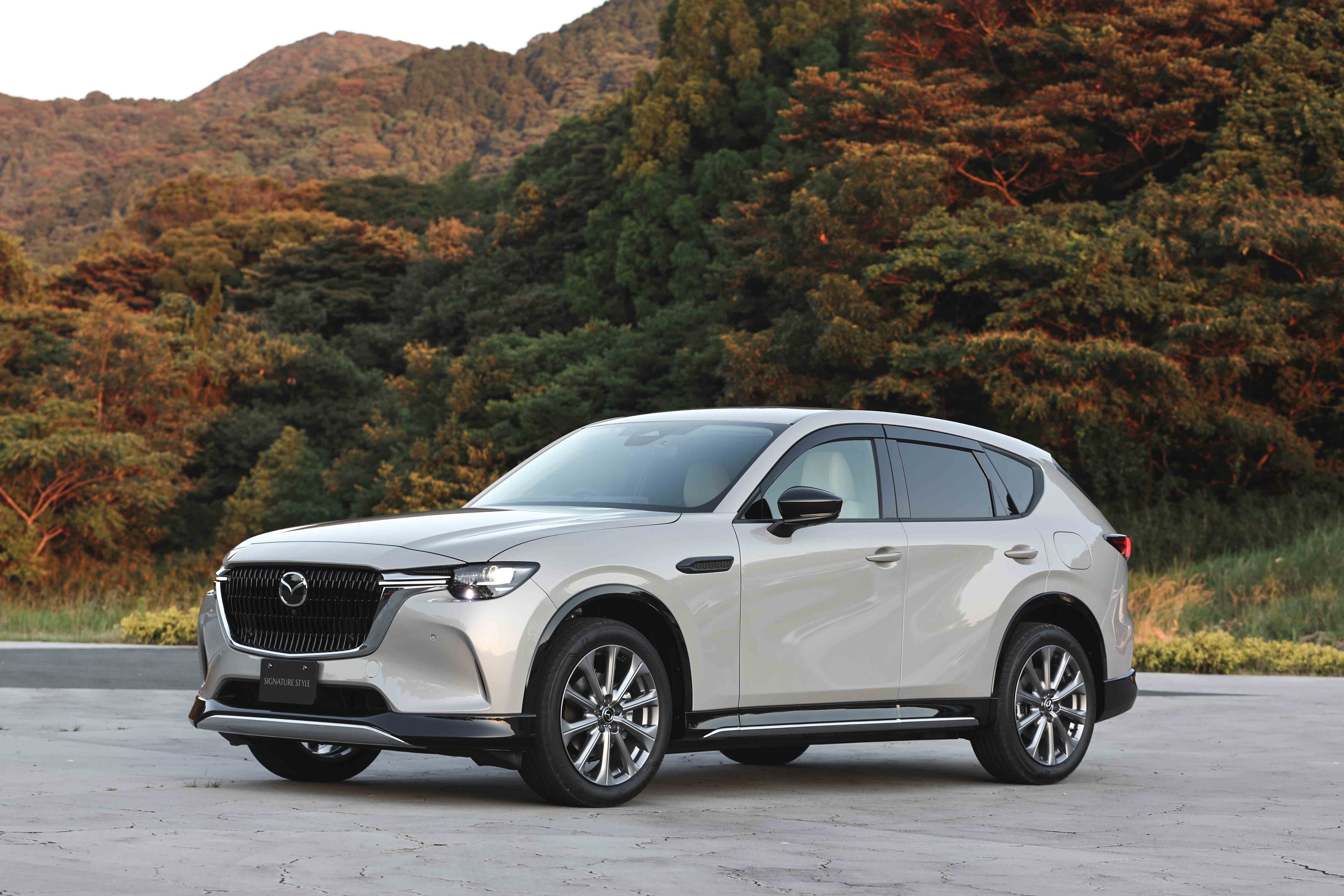 マツダ 店舗 展示情報 マツダブランドスペース大阪