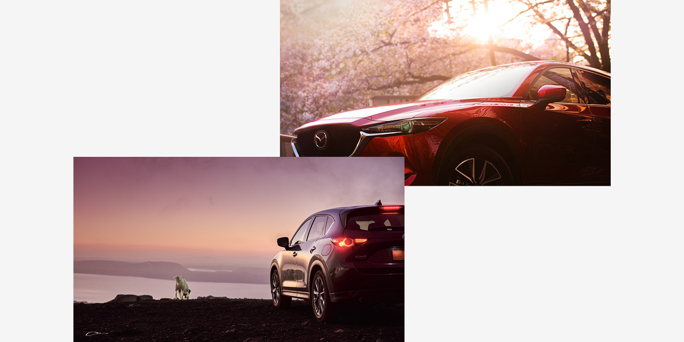 マツダ Mazda Cx 5 Open Day ご購入サポート マツダ Mazda Cx 5 Open Day ご購入サポート