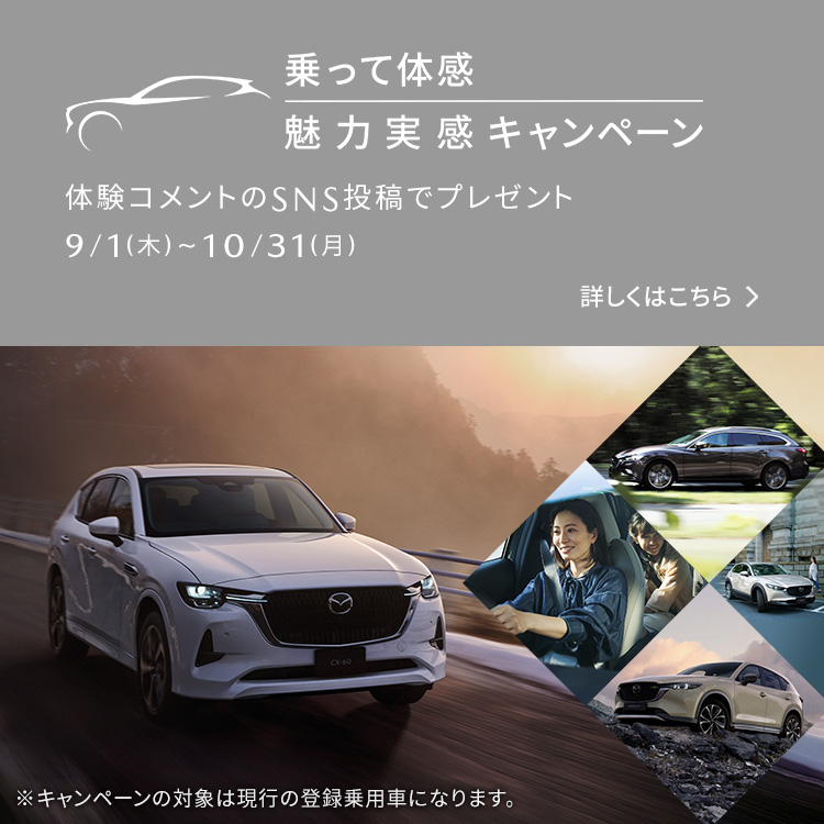 Mazda Cx 3 クロスオーバー Suv マツダ